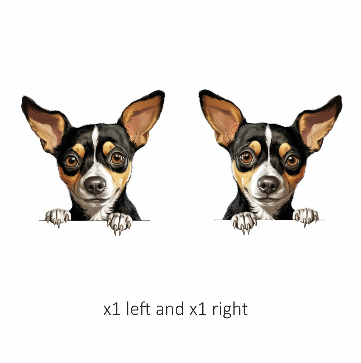 Black White Brown Chihuahua Dog Portrait Vinyl Sticker Decal