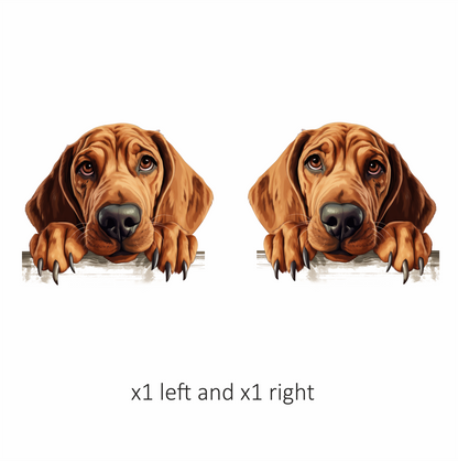 Brown Dog Hound Sad Eyes Vinyl Sticker Decal