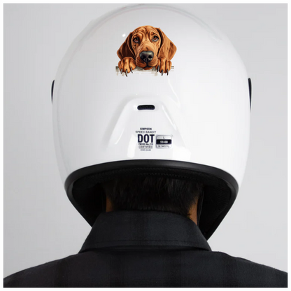Brown Dog Hound Sad Eyes Vinyl Sticker Decal