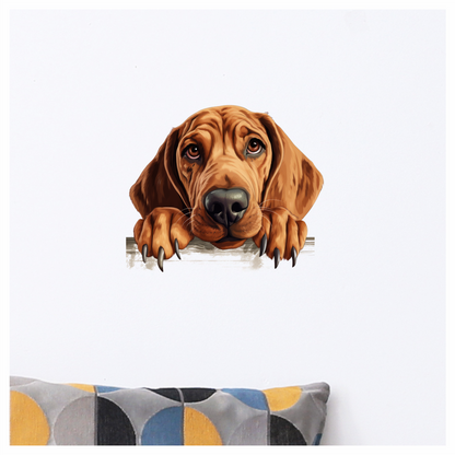 Brown Dog Hound Sad Eyes Vinyl Sticker Decal