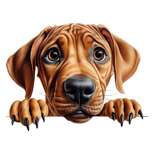 Brown Dog Puppy Sad Eyes Vinyl Sticker Decal