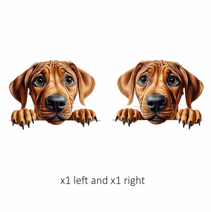 Brown Dog Puppy Sad Eyes Vinyl Sticker Decal