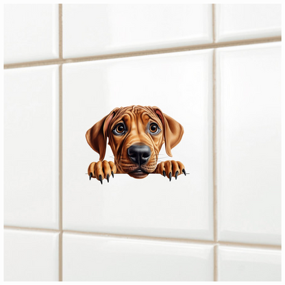 Brown Dog Puppy Sad Eyes Vinyl Sticker Decal