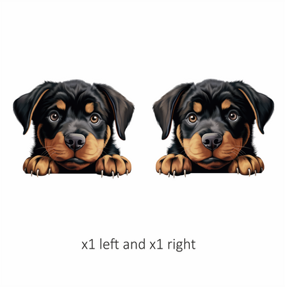 Black Puppy Rottweiler Cute Paws Vinyl Sticker Decal