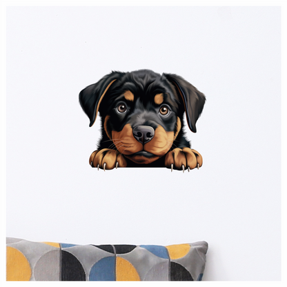 Black Puppy Rottweiler Cute Paws Vinyl Sticker Decal