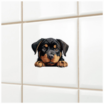 Black Puppy Rottweiler Cute Paws Vinyl Sticker Decal