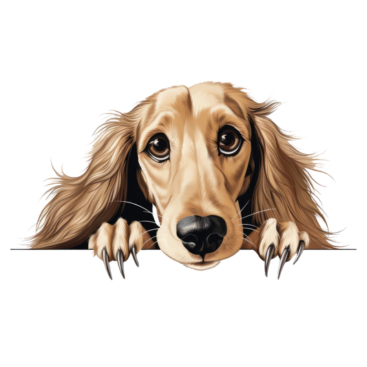 Golden Dog Dachshund Cute Face Vinyl Sticker Decal