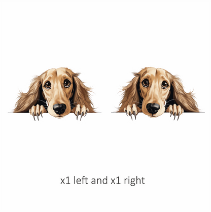 Golden Dog Dachshund Cute Face Vinyl Sticker Decal