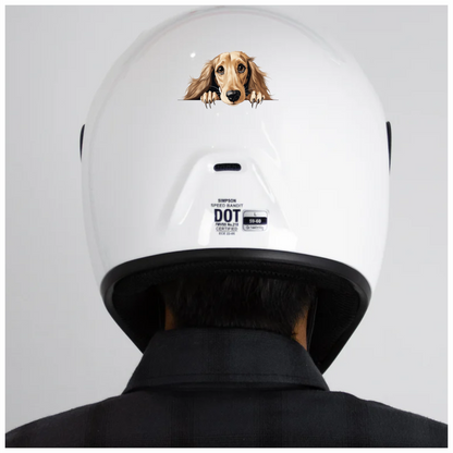 Golden Dog Dachshund Cute Face Vinyl Sticker Decal