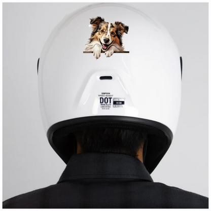 Brown White Dog Collie Smiling Vinyl Sticker Decal