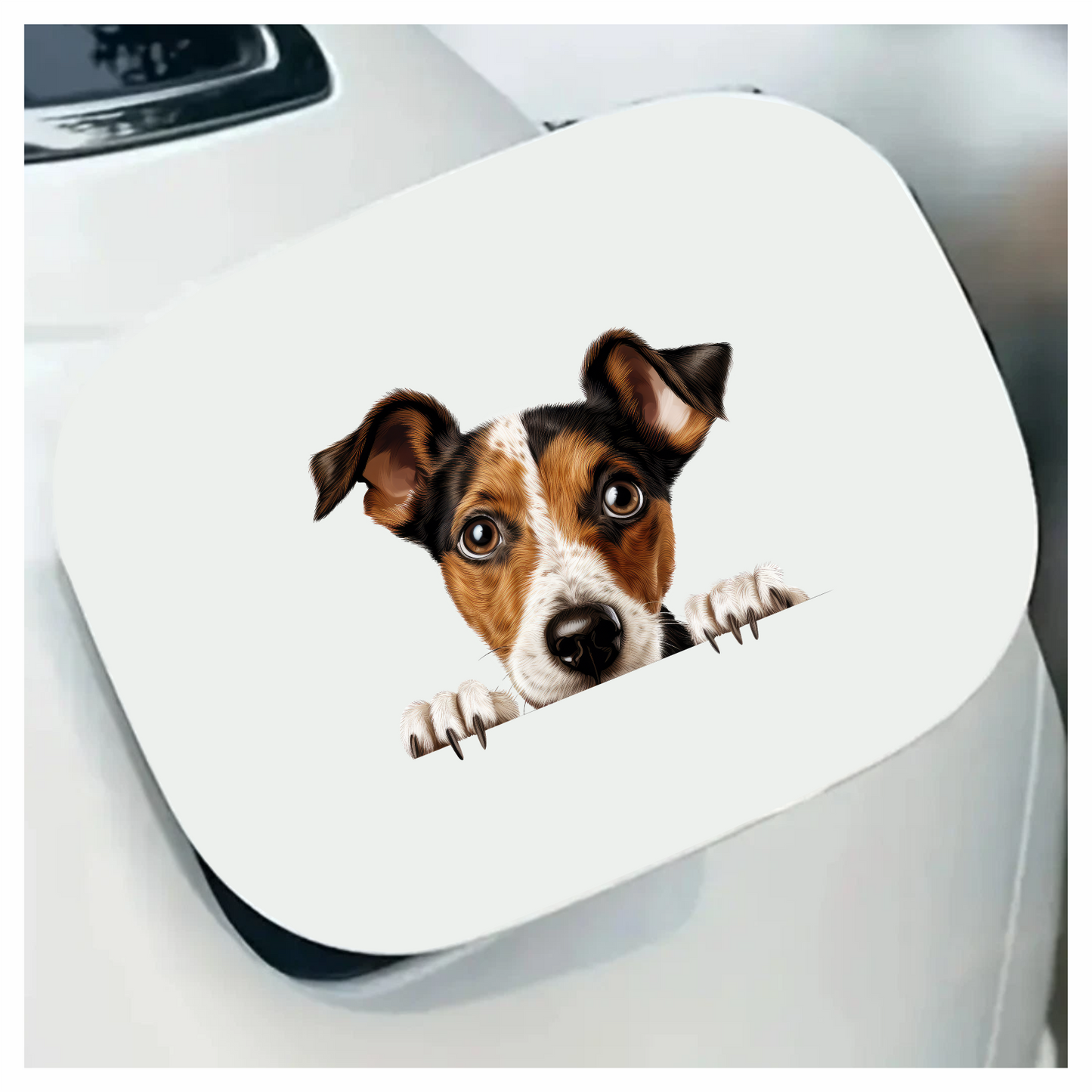 Brown White Dog JackRussell Curious Vinyl Sticker Decal