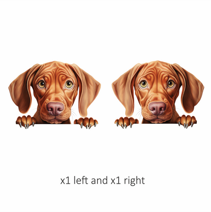 Brown Dog Puppy Sad Eyes Vinyl Sticker Decal