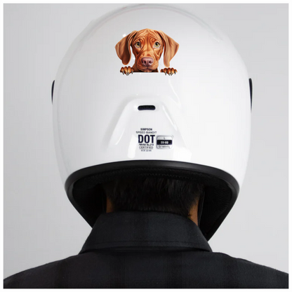 Brown Dog Puppy Sad Eyes Vinyl Sticker Decal