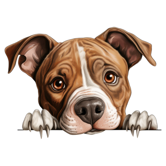 Brown Dog Bulldog Face Close Up Vinyl Sticker Decal