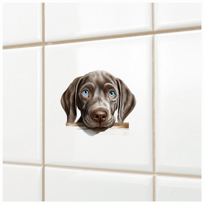 Brown Dog Puppy Labrador Head Vinyl Sticker Decal