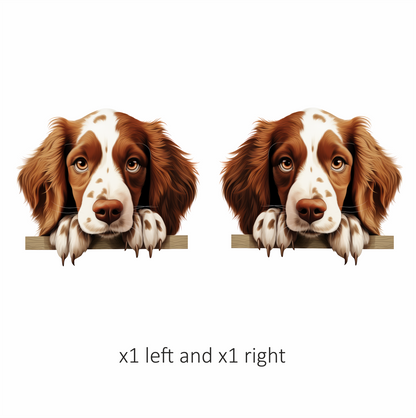 Brown White Spaniel Dog Face Vinyl Sticker Decal