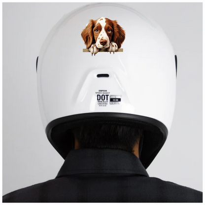 Brown White Spaniel Dog Face Vinyl Sticker Decal
