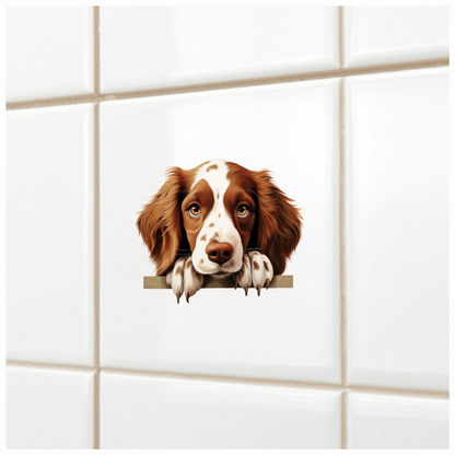 Brown White Spaniel Dog Face Vinyl Sticker Decal