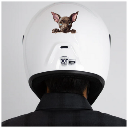 Brown Dog Puppy Big Ears Vinyl Sticker Decal