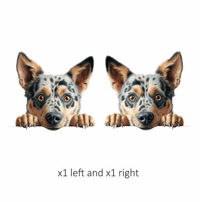 Blue Dog Australian Cattle Curious Vinyl Sticker Decal