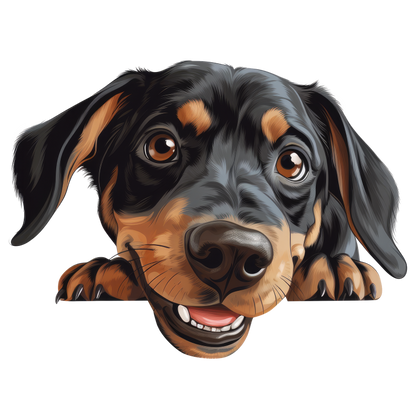 Black Brown Dog Dachshund Happy Face Vinyl Sticker Decal