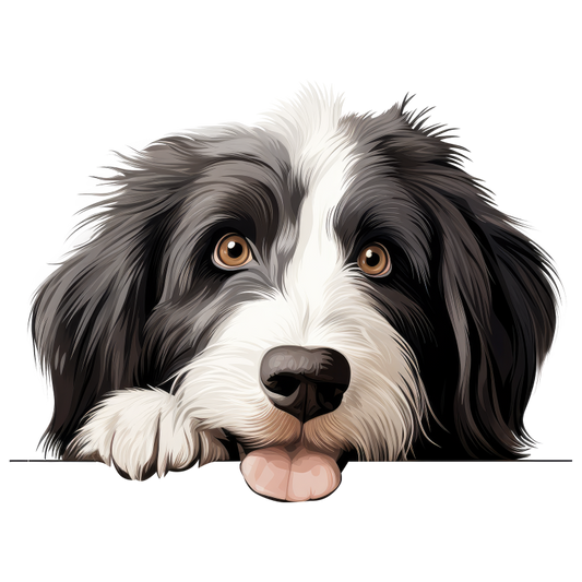 Black White Dog Bearded Collie Vinyl Sticker Decal