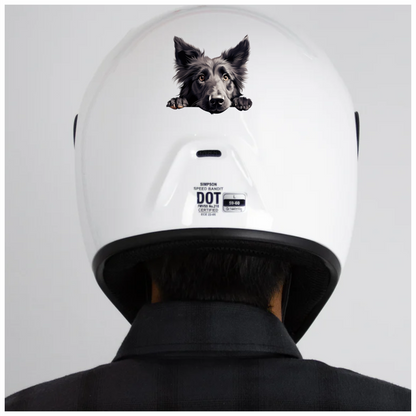 Black Dog Border Collie Face Vinyl Sticker Decal