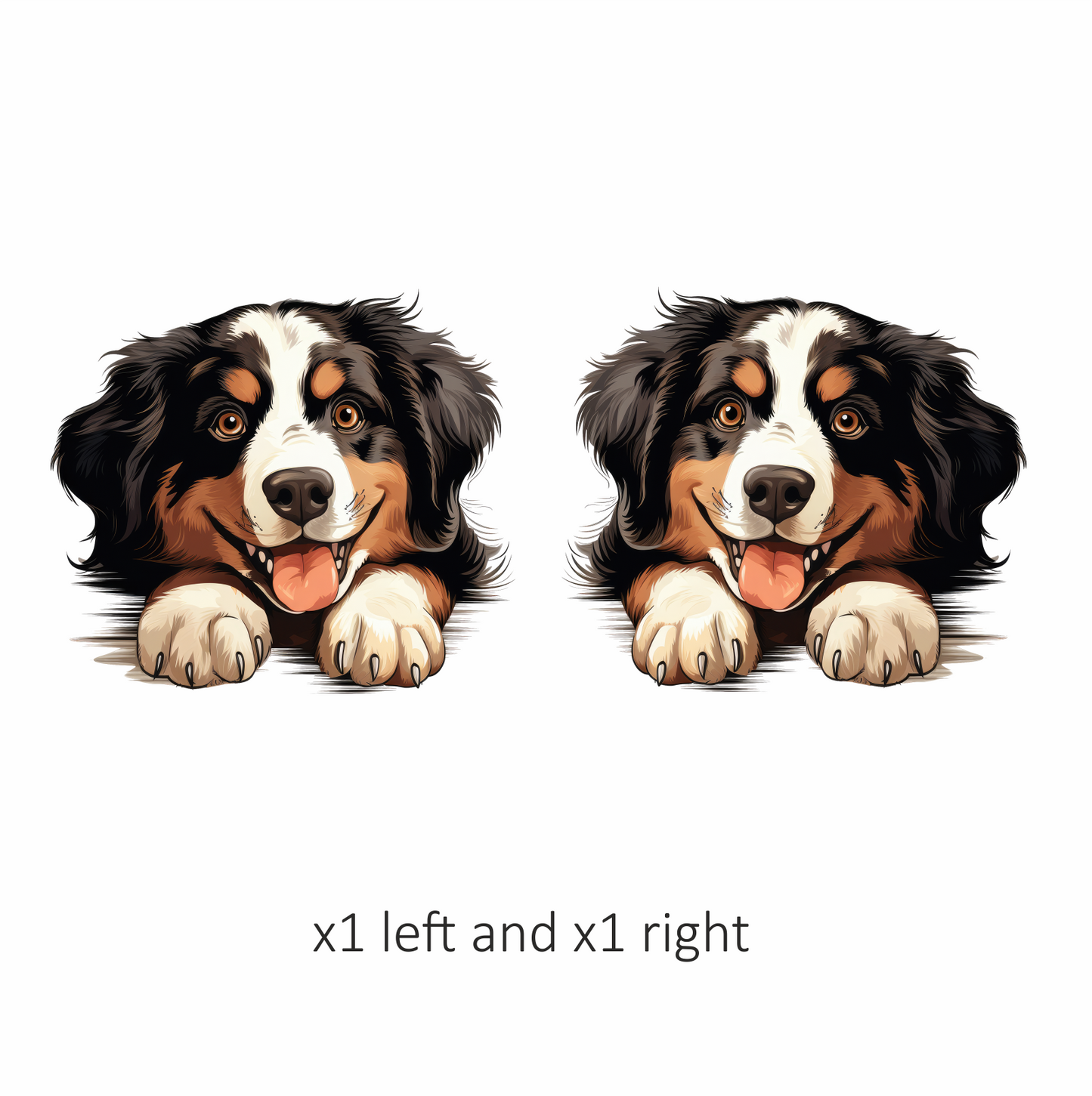Black Brown White Dog Bernese Vinyl Sticker Decal