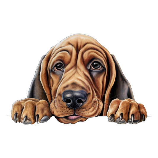 Brown Dog Puppy Basset Hound Vinyl Sticker Decal