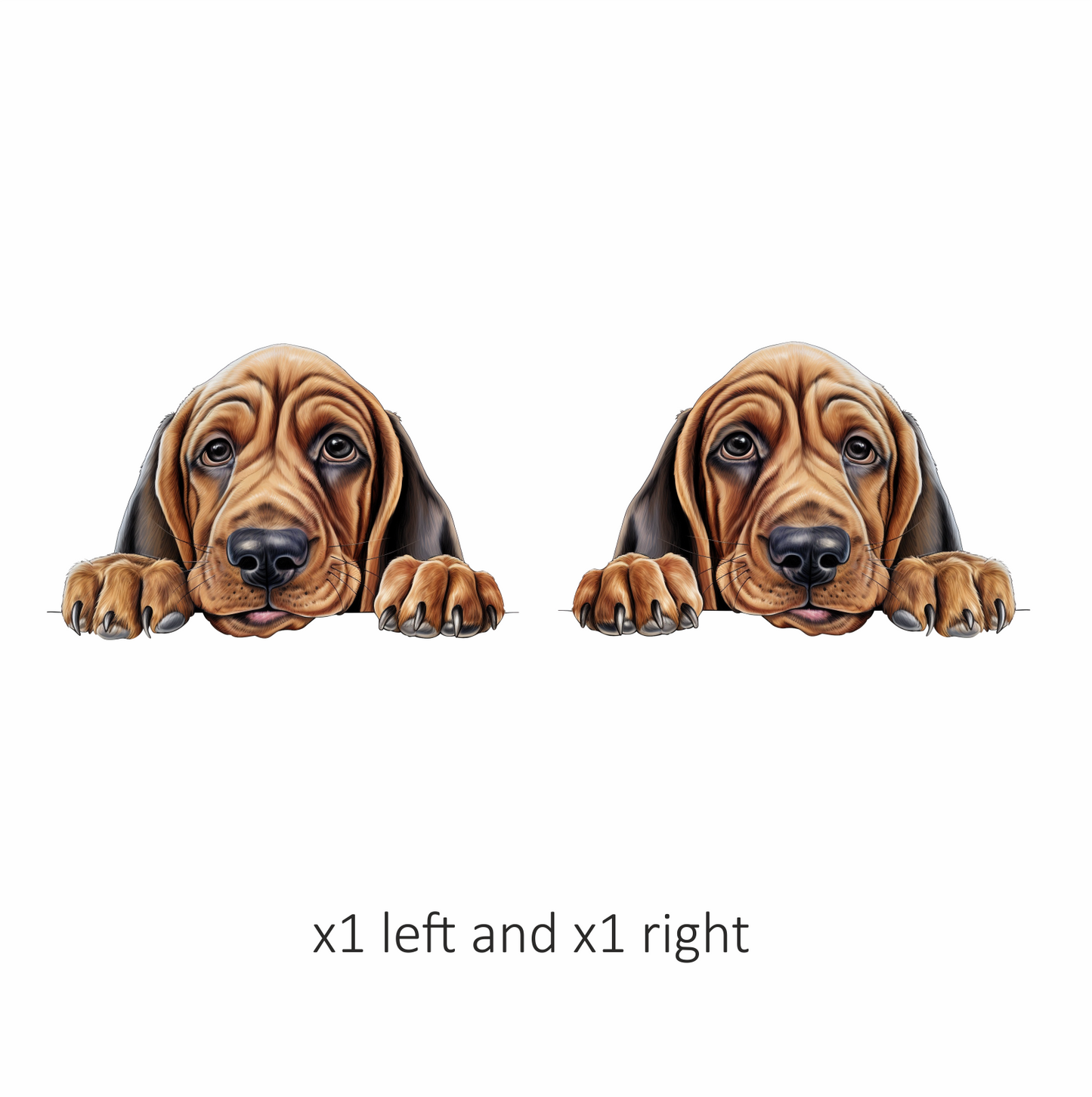 Brown Dog Puppy Basset Hound Vinyl Sticker Decal