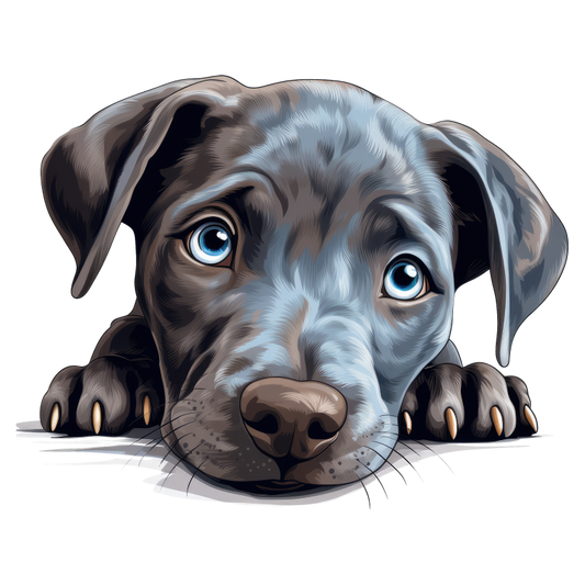 Blue Dog Puppy Cute Face Vinyl Sticker Decal