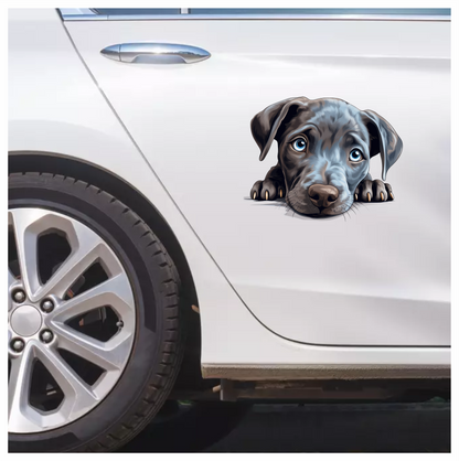 Blue Dog Puppy Cute Face Vinyl Sticker Decal