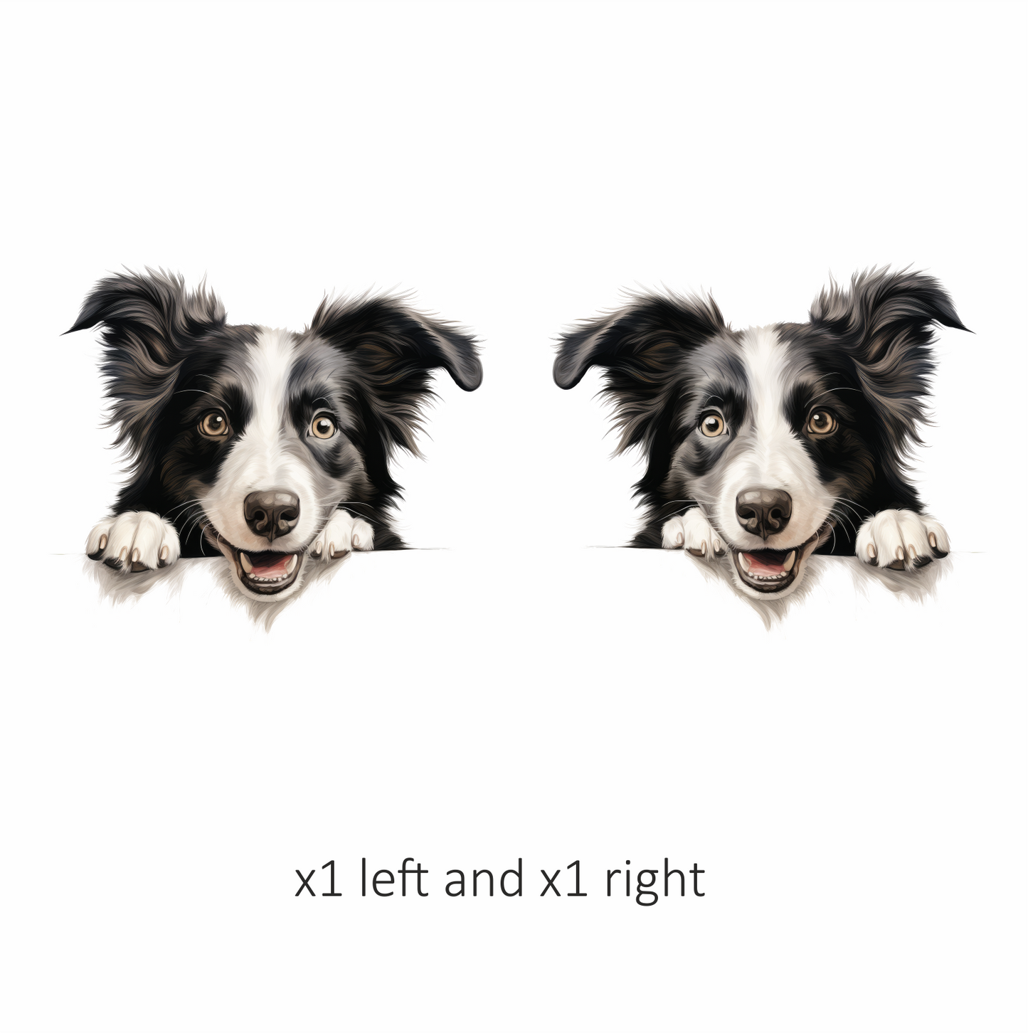 Black White Dog Border Collie Vinyl Sticker Decal