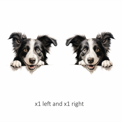 Black White Dog Border Collie Vinyl Sticker Decal