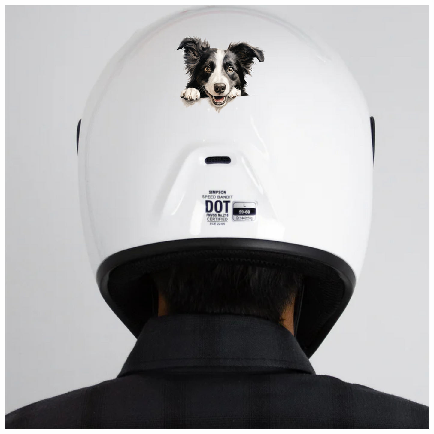 Black White Dog Border Collie Vinyl Sticker Decal