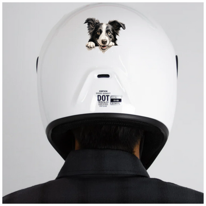 Black White Dog Border Collie Vinyl Sticker Decal