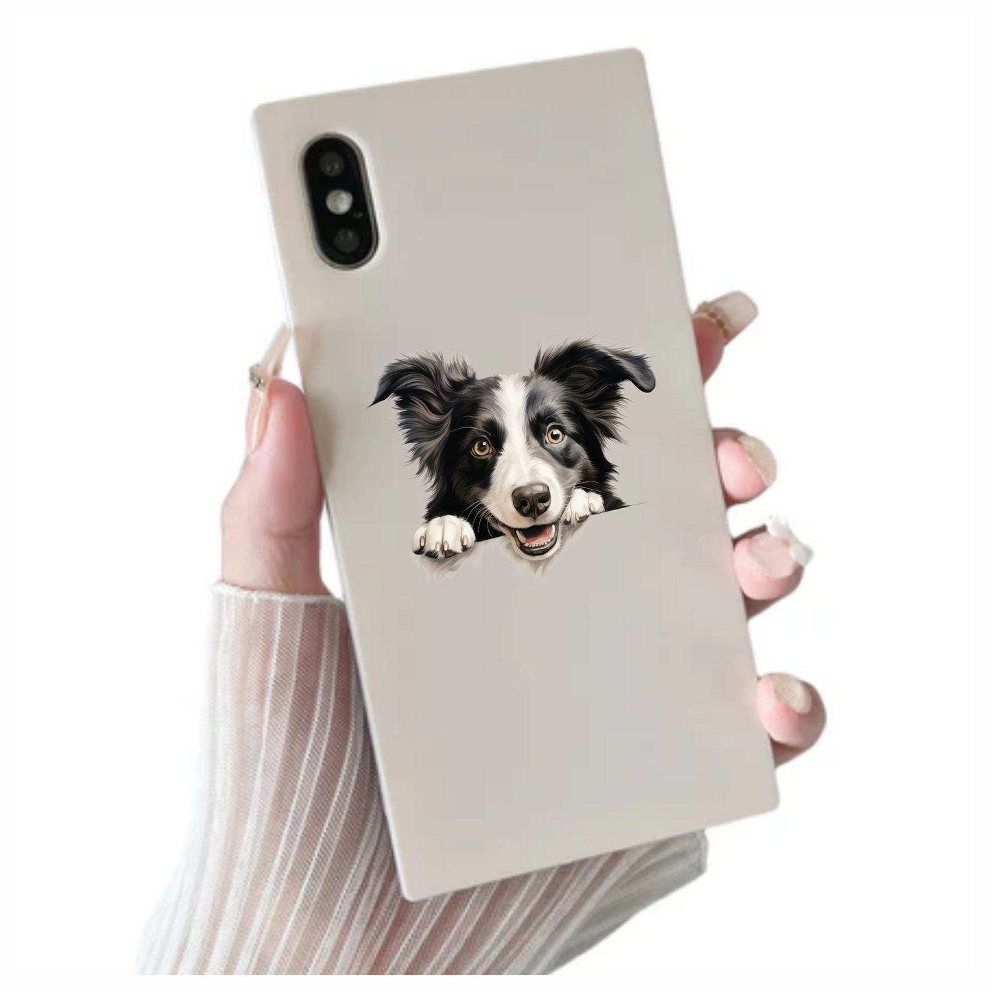 Black White Dog Border Collie Vinyl Sticker Decal