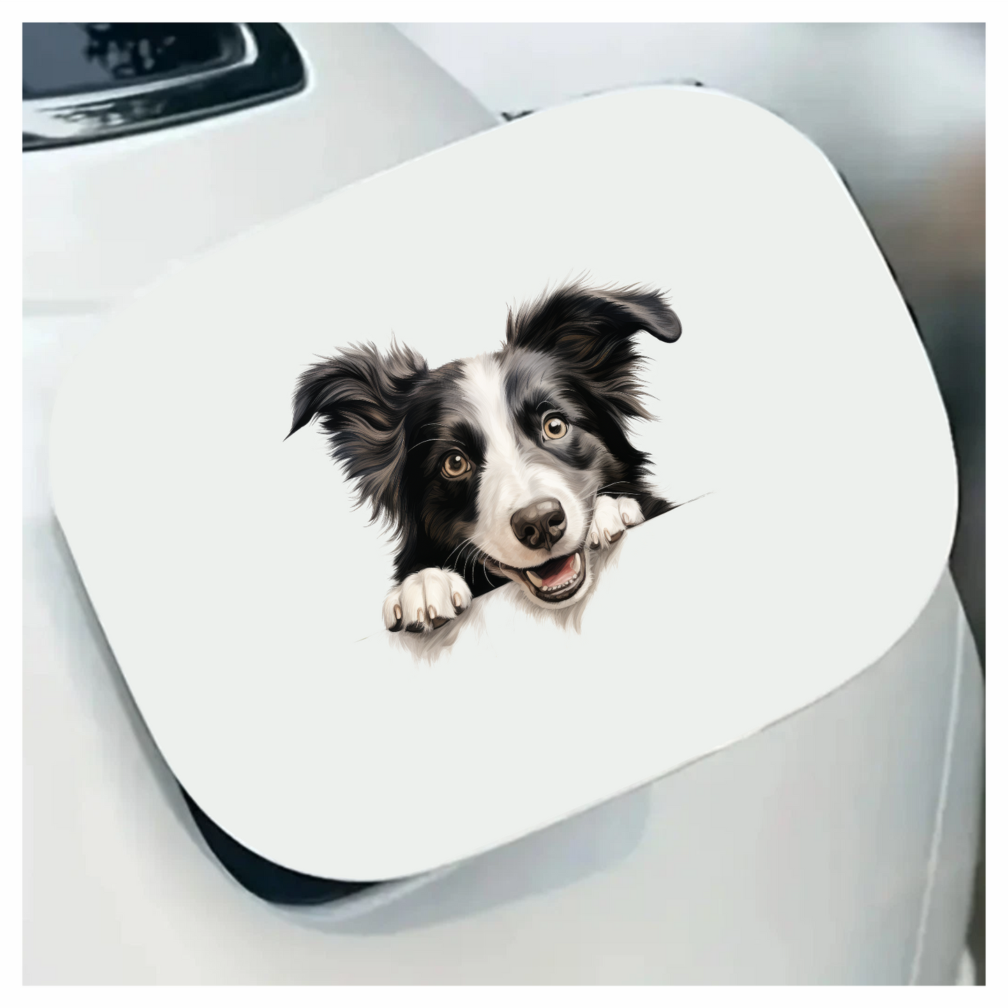 Black White Dog Border Collie Vinyl Sticker Decal