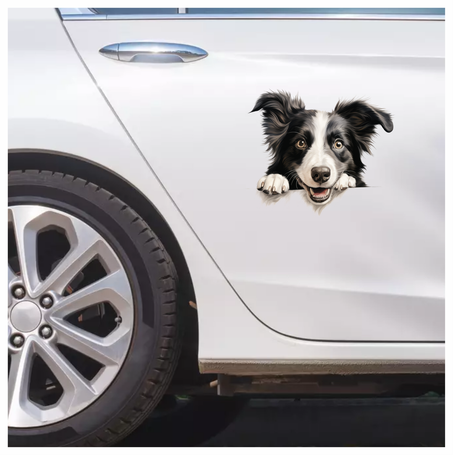 Black White Dog Border Collie Vinyl Sticker Decal