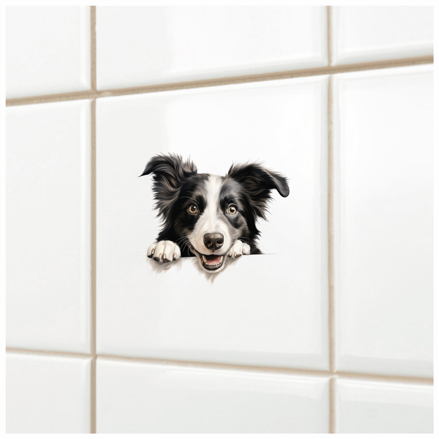 Black White Dog Border Collie Vinyl Sticker Decal