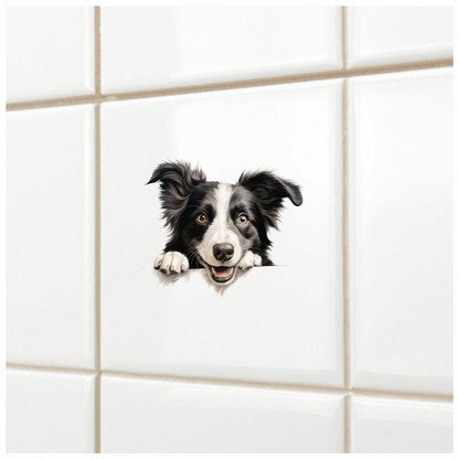 Black White Dog Border Collie Vinyl Sticker Decal