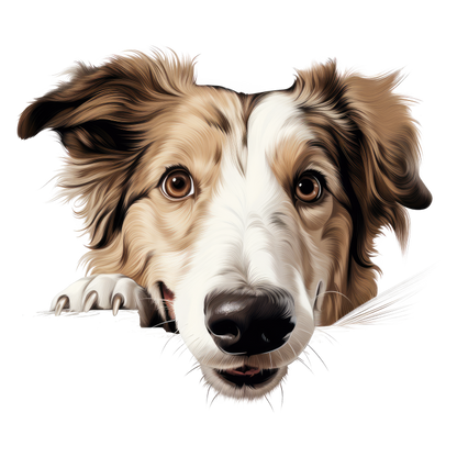 Brown White Dog Border Collie Vinyl Sticker Decal