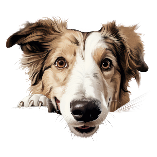 Brown White Dog Border Collie Vinyl Sticker Decal