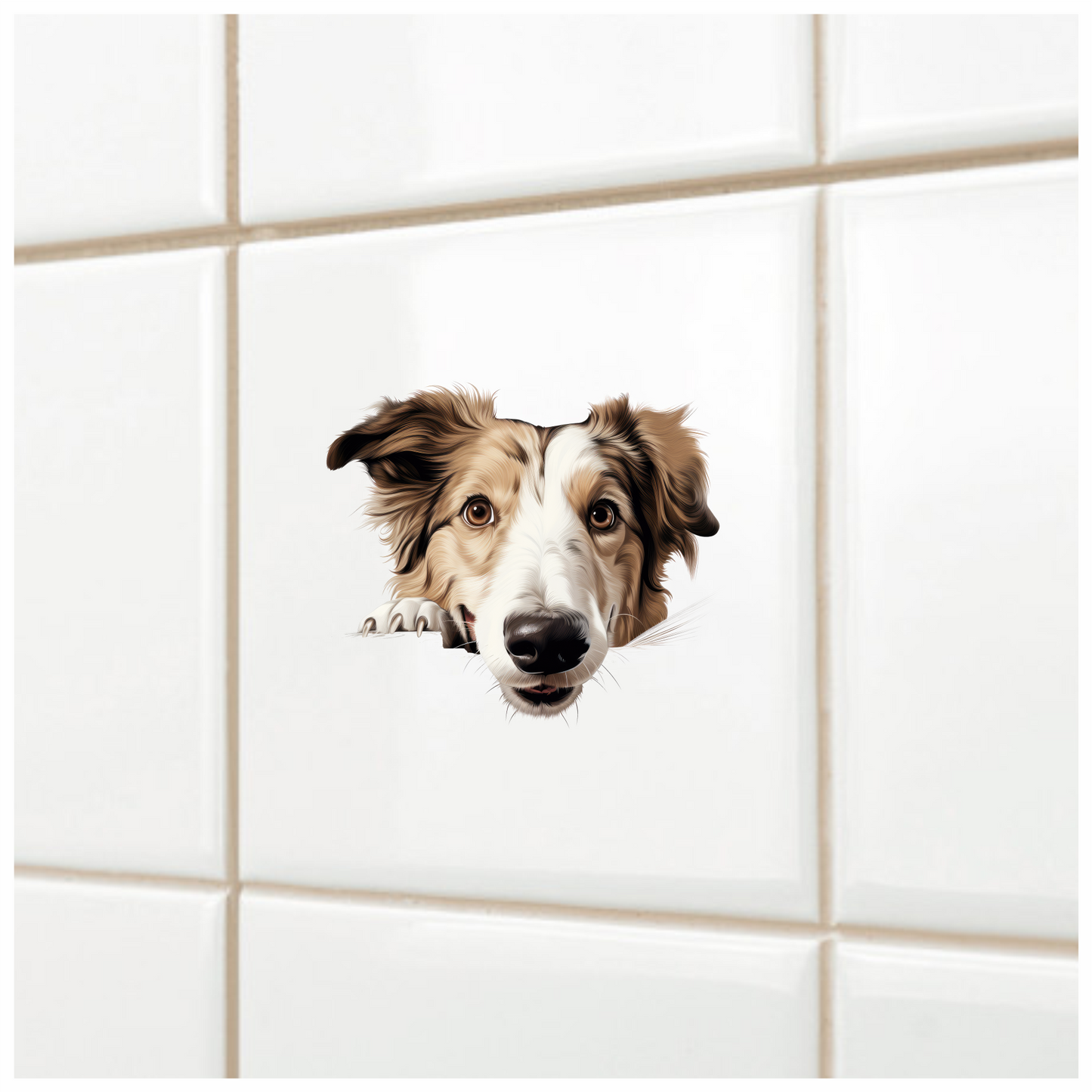 Brown White Dog Border Collie Vinyl Sticker Decal