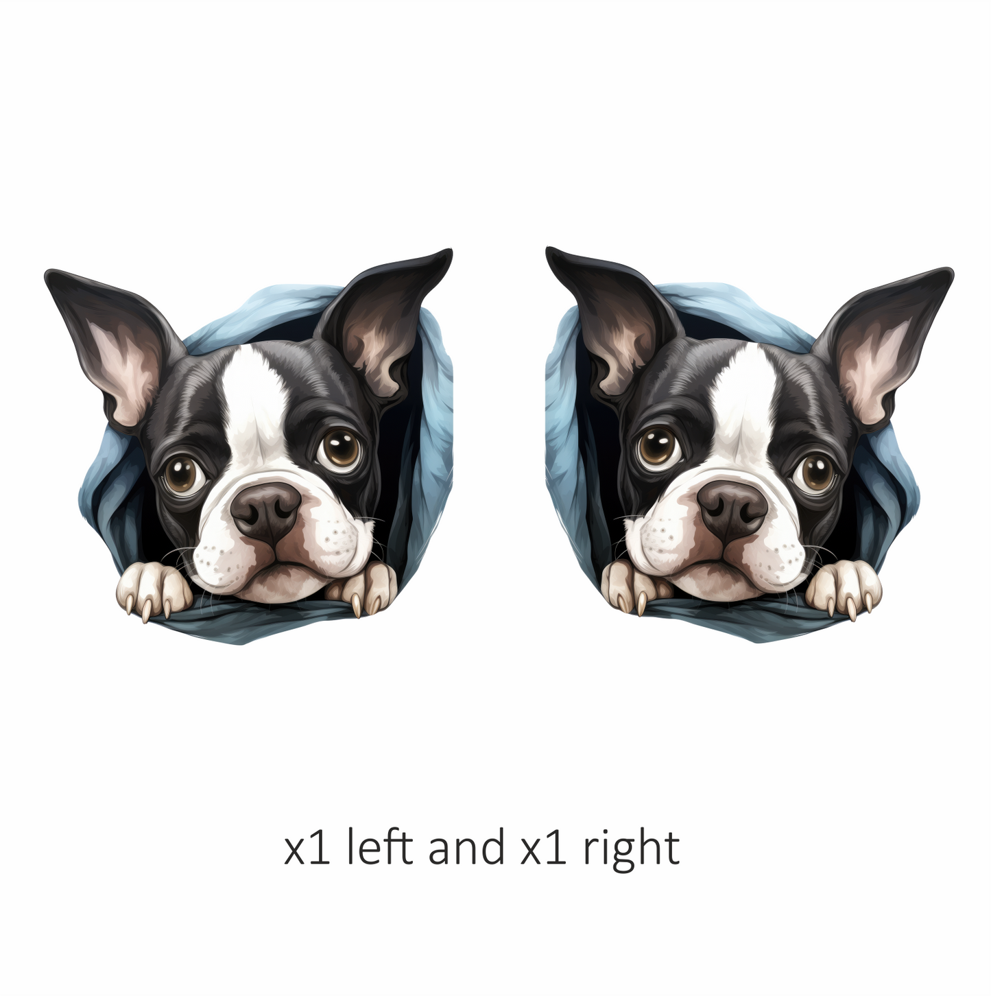 Black White Boston Terrier Blanket Vinyl Sticker Decal