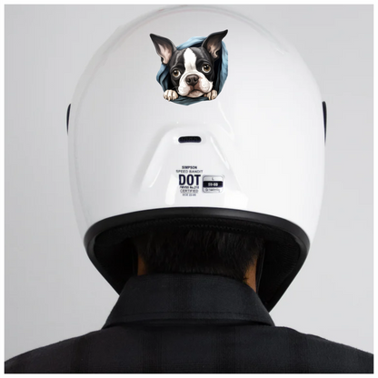 Black White Boston Terrier Blanket Vinyl Sticker Decal
