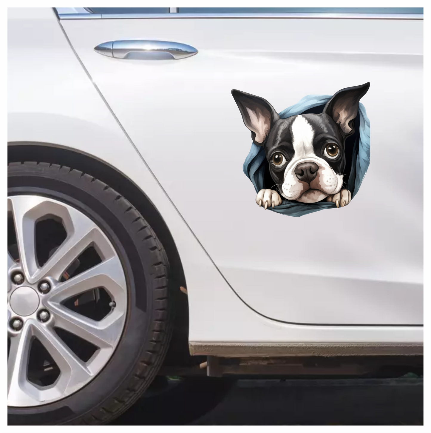 Black White Boston Terrier Blanket Vinyl Sticker Decal