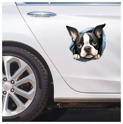 Black White Boston Terrier Blanket Vinyl Sticker Decal