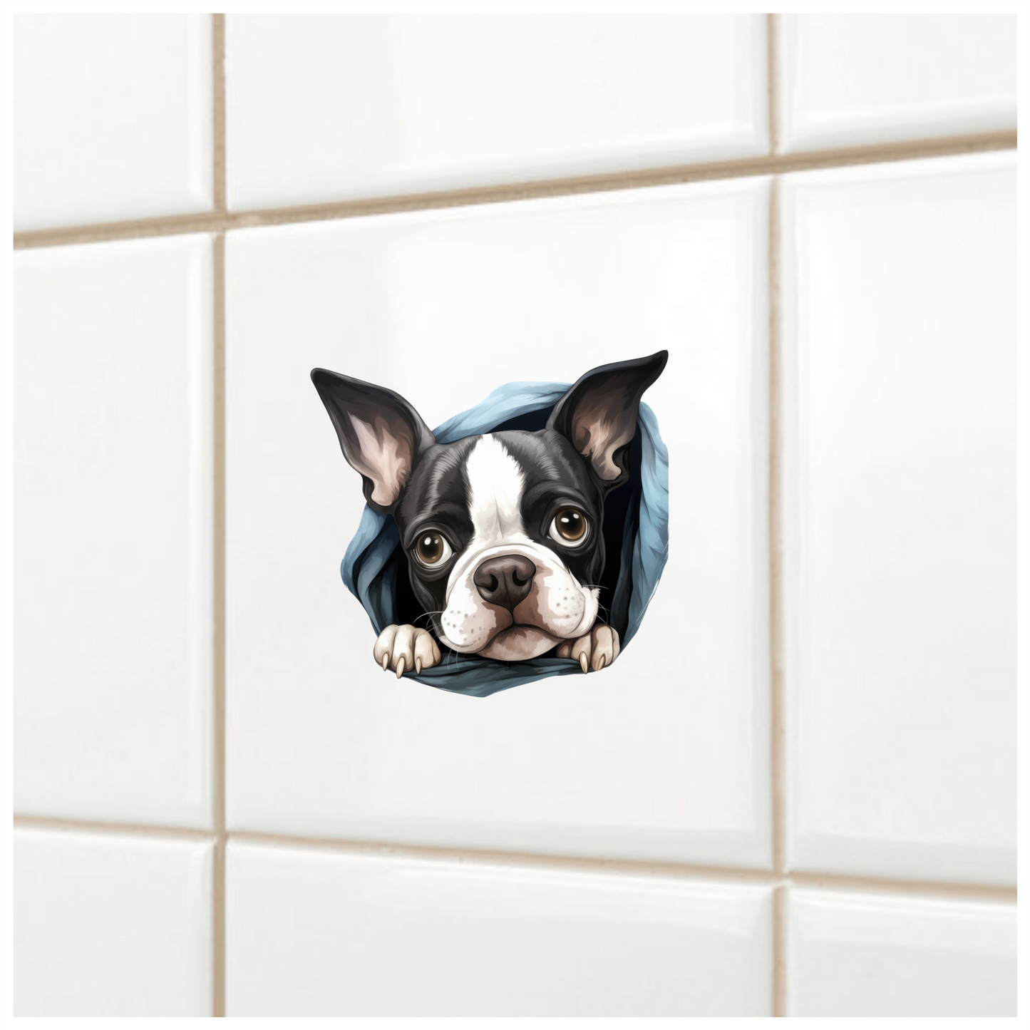 Black White Boston Terrier Blanket Vinyl Sticker Decal
