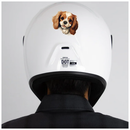 Brown White Dog Cavalier Spaniel Vinyl Sticker Decal